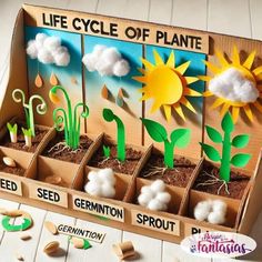 a cardboard box filled with plants and clouds