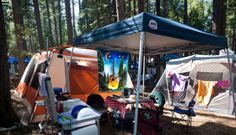 tents are set up in the woods for camping