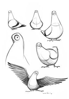 sketches of birds with different angles and sizes