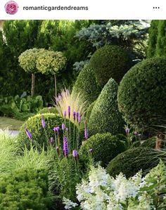 an assortment of bushes and flowers in a garden