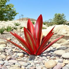 a large red flower sitting on top of a pile of rocks