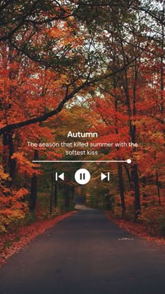 You can see an autumn forest background with a music line on it. The title is autumn the season and at the musician line is a quote. Fall Backgrounds Iphone, Autumn Phone Wallpaper, Photographie Indie, Halloween Wallpaper Backgrounds, Wallpaper Fall, Autumn Instagram, Fall Mood Board