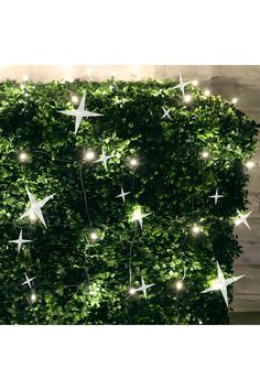 Shop For 4' x 6' Warm White 5mm LED Smooth Fade DreamSpark Net Lights Mint Green Fairy Lights, Pure White Led Christmas Lights, Clear Star Lights, Aqua Light Blue Fairy Lights, Snowflake Lights Michaels Stores, Bushes And Shrubs, Net Lights, Water Globes, Work Wreath Forms