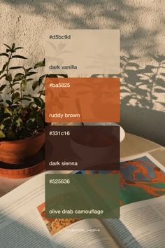 Natural earthy summer 2024 color palette inspiration | Visual identity design Natural Color Pallet, 2024 Color Palette, Orange Colour Scheme, Orange Colour Palette, Summer 2024 Color, Nature Palette, Beach Color Palettes, Earthy Design, Orange Color Palette