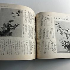 an open book with pictures of flowers and plants in chinese writing on the front page