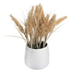 a white vase filled with dry grass on top of a table