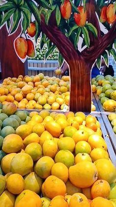 there are many different types of fruit on display