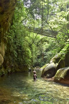 a man wading through a river surrounded by rocks and greenery in the woods