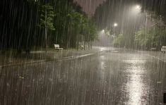 an empty street at night with rain falling on the ground and benches in the foreground