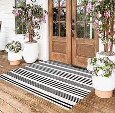 three potted plants are on the front porch