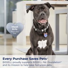 a black and white dog sitting in front of a table with a heart tag on it's collar