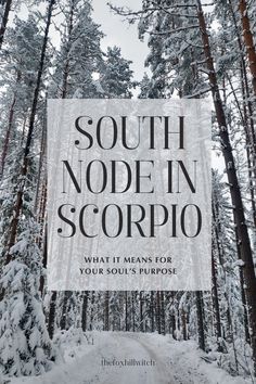 a snowy road surrounded by trees with the words south node in scorpio