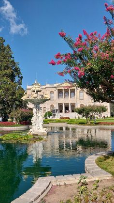 a large building with a fountain in front of it and flowers on the trees around it