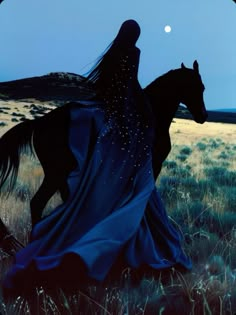 a woman in a long blue dress riding a black horse through a field at night