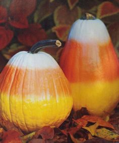 two orange and yellow pumpkins sitting next to each other on top of autumn leaves