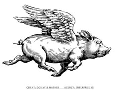 a pig flying with wings on its back