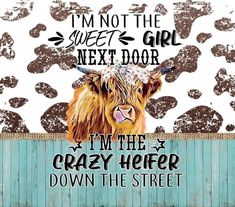 a cow that is standing in front of a wooden fence with the words i'm not the sweet girl next door, i'm the crazy here down the street