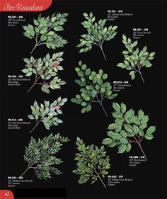 the different types of leaves on a black background