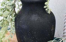 a large black vase sitting on top of a table next to a roped plant