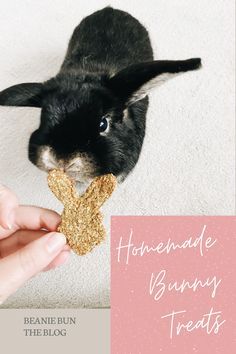 a person holding a small bunny in their hand with the words homemade bunny treats on it