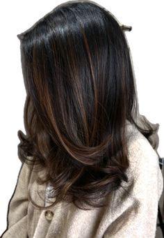 Hair Colour For Highlights, Highlight On Ends Of Hair, Hair Colouring Ideas For Black Hair, Brown Colour Hair Highlights, Natural Black Hair Color With Highlights, Brunette Colour Ideas, Best Hair Colour For Black Hair, Brown Black Hair Ideas, Dark Hair Colour Ideas Highlights