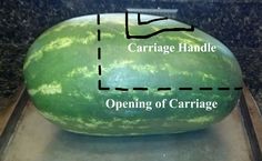 a large green watermelon sitting on top of a metal pan with the words carriage handle opening of garage