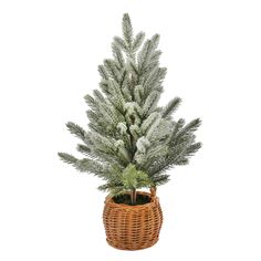 a small pine tree in a wicker basket with snow on the top and branches