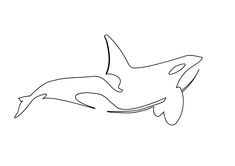 two orca whales swimming together in the ocean, one drawing is black and white