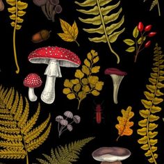 an image of various plants and mushrooms on a black background