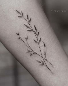 a black and white photo of a plant on the arm