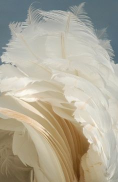 a large white bird with feathers sticking out of it's back