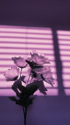 a vase filled with white flowers sitting on top of a table next to a window