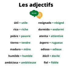 the words are in different languages and there is an image above it that says les adjetifs