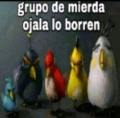 four different colored birds standing next to each other in front of a gray background with the words grupo de merida oia lo boren