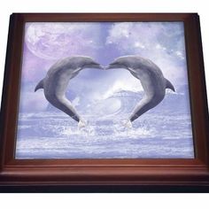 two dolphins making a heart shape in the ocean