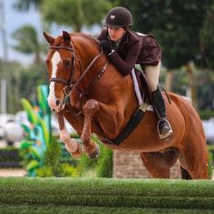 a woman riding on the back of a brown horse in an equestrian show jumping over a hurdle