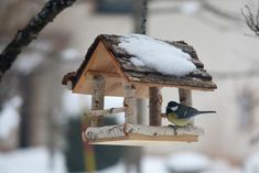 a bird feeder hanging from a tree with snow on the roof and branches around it