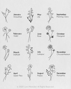 an image of flowers that are in the zodiac sign style for each zodiac sign, which is