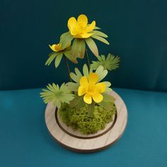 small yellow flowers are placed in a mossy pot on a wooden stand with blue background