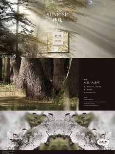 three different pictures with trees and the words sunrise in japanese on top of each photo