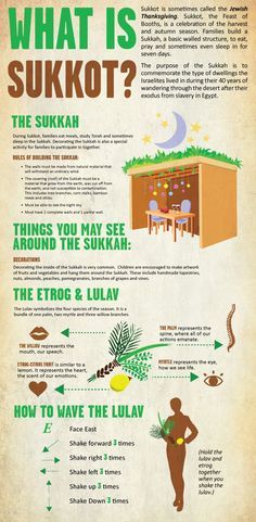 what is sukkot? info poster with information about the different types of suknots