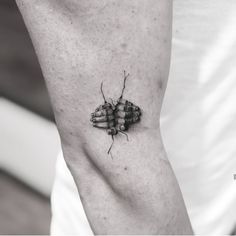 a black and white photo of a bug tattoo on the left arm, it appears to be an insect