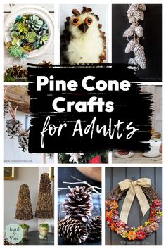 Collage of pine cone crafts including a wreath, an owl, garlands, waxed pine cones and more. Easy Pine Cone Christmas Crafts, Pine Cone Crafts For Adults, Pinecone Windchimes, What To Do With Pine Cones, Acorn Crafts For Adults, Pine Cone Crafts Diy, Pinecone Decorations Diy