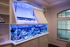 a fish tank sitting on top of a counter next to a window with shutters