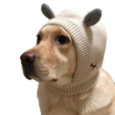 a dog wearing a knitted hat with antlers on it