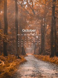 an image of a calendar in the middle of a forest with trees and grass on both sides