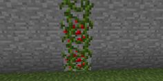 a green plant with red flowers in a minecraft style room, it appears to be growing from the ground