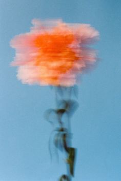 a blurry image of an orange flower in the air with blue sky behind it