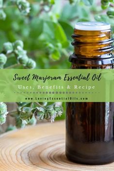 Bath Soak Recipe, Origanum Majorana, List Of Essential Oils, Essential Oil Safety, Salvia Sclarea, Making Essential Oils, Aromatherapy Benefits