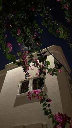 the building is white and has pink flowers growing on it's windows sill